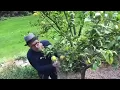 Gary Oldman Lemons for Leukemia Challenge