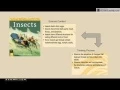 2nd Grade Insects Investigation 3