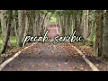 Pecah Seribu -Elvy Sukaesih||(lyrics)||Cover 3 pemuda berbahaya Feat Salsa Bintan