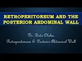 ANATOMY OF THE RETROPERITONEUM POSTERIOR ABDOMINAL WALL