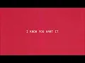 AMERICA HAS A PROBLEM (Official Lyric Video) - Beyoncé