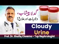 Cloudy Urine Causes Treatment