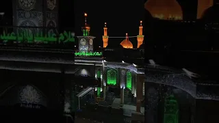 سيدي مصطفى الربيعي 