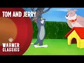 Download Lagu Tom and Jerry | Mega Compilation | Vol. 9 | The Spike Series | Warner Classics
