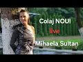 Download Lagu Mihaela Sultan si Cristi Manolea 🤍 Cel mai TARE colaj de petrecere ❤️ Live 2025 💣