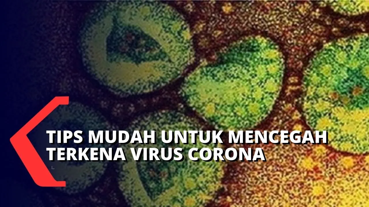 Covid 19 telah ditetapkan badan kesehatan dunia, atau WHO, sebagai penyakit pandemik, atau penyakit . 
