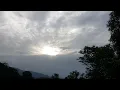 Bird Sounds Spectacular Relaxing Calm Nature Meditation #shorts #firstshortvideo #Happiness@SM