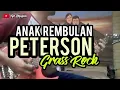 Download Lagu PETERSON - ANAK REMBULAN //GUITAR COVER - GRASS ROCK
