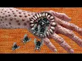 Download Lagu ASMR Jagalah Kebersihan Ketiak Anda Selalu | ASMR Khanda Treatment Animation | ASMR