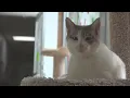 Can Queen spending retirement saving Muskegon Co animal shelters