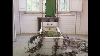                             دندنها