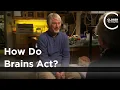 Christopher Evans - How Do Brains Act?