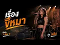 เรื่องขี้หมา - Y Not 7 | Cover by ลลิล【เพลงร้านเหล้า】
