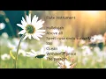 Download Lagu Flute Instrument B (lagu rohani saat teduh)