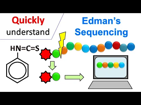Edman degradation Edman Sequencing