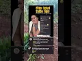 Download Lagu fitri salhuteru gagal debet.. gaya elit ekonomi sulit???