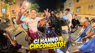                                                دندنها