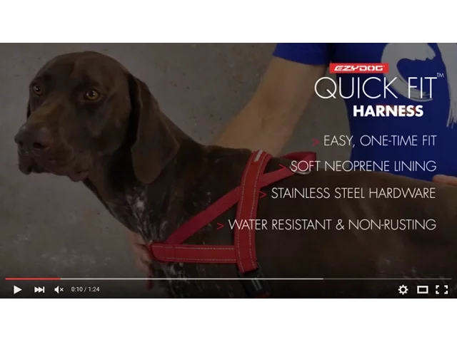 EzyDog Quick-Fit Harness