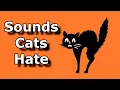 Download Lagu SUARA YANG DIBENCI KUCING ~ Suara Untuk Menakuti Kucing dan Anjing ~ Alarm Ultrasonik Untuk Menakuti Hewan