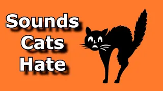 SOUNDS CATS HATE Sound To Scare Cats And Dogs Ultrasonic Alarm To Scare Off Animals 