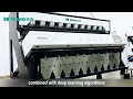 TAIHO Intelligent Observation Pro Infrared Color Sorter for Rice Shape Sorting