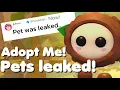 Download Lagu 🥥WEEK 2 SUMMER EVENT PET JUST GOT LEAKED… 🌴 (PLAYERS ARE HAPPY) | SECRET PET 😃 | Roblox #roblox