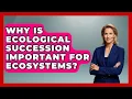 Why Is Ecological Succession Important For Ecosystems - Explaining Ecology
