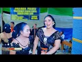 Lagu LIVE  TAYUB MARDI BUDOYO  Traditional dance \u0026 Music Javanese Spesial bulan ramadhan