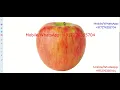 Fruit Disease Classification Using Image Processing Python Project With Source Code