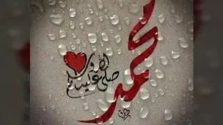 حبيبي يا رسول الله تامر حسني 