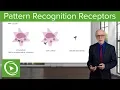 Pattern Recognition Receptors PRRs - Immunology Lecturio