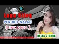 Download Lagu RIJOQ PERUKO NALAU  -  RELIA 2 DARA