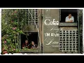 Download Lagu Cafe Đắng Tim Anh Đau / Thiện Ngôn X Huỳnh Phúc COVER / Cafe cứ đắng tim anh thì đau ...