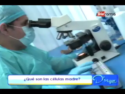 ¿Qué son las células madre?