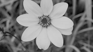 تلاوه جميله من سورة البقرة للقارئ محمد النقيدان 