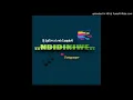 Download Lagu DJ Syferr X Leeh Campbell feat. Partypooper - Ndidikiwe