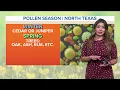 A look at DFW Pollen Count for the week