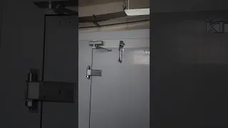                     دندنها