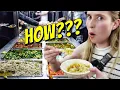 All you can eat for 2USD AND the food is delicious