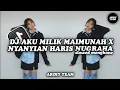 Download Lagu DJ AKU MILIK MAIMUNAH X NYANYIAN HARIS NUGRAHA  •  Slowed + Reverb Mengkane !!!