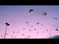 Mansionair - Facedown Domino