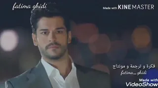 سيف عامر  تخيل شجرة بيها اوراق دندنها