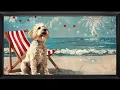 Fourth of July FRAMED TV ART Doodle Fireworks