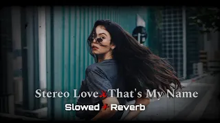 Stereo Love X That S My Name Slowed Reverb TikTok Trending Remix 