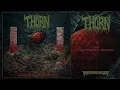 Download Lagu THORN (US) - Quartersawn Remains (Death Metal) Transcending Obscurity