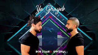                                            دندنها