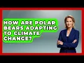 Download Lagu How Are Polar Bears Adapting To Climate Change? - Polar Regions Uncovered