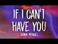 Download Lagu Shawn Mendes - If I Can't Have Yous