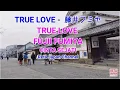 Download Lagu TRUE LOVE FUMIYA FUJII　藤井フミヤ  LYRICS LIRIK TERJEMAHAN INDONESIA   SUASANA KOTA JEPANG