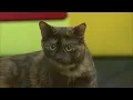 Oshkosh Area Humane Society